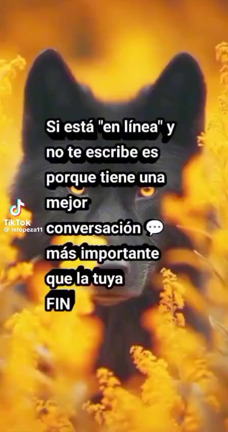 @Manuel Duarte268