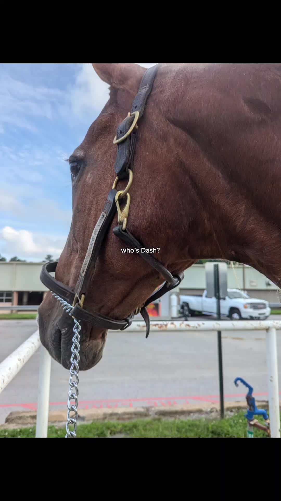 @saddleseat_4life