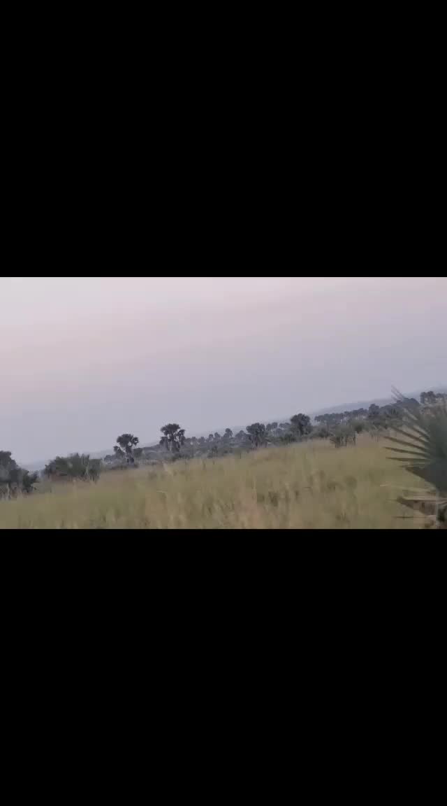 @marbanjisafaris