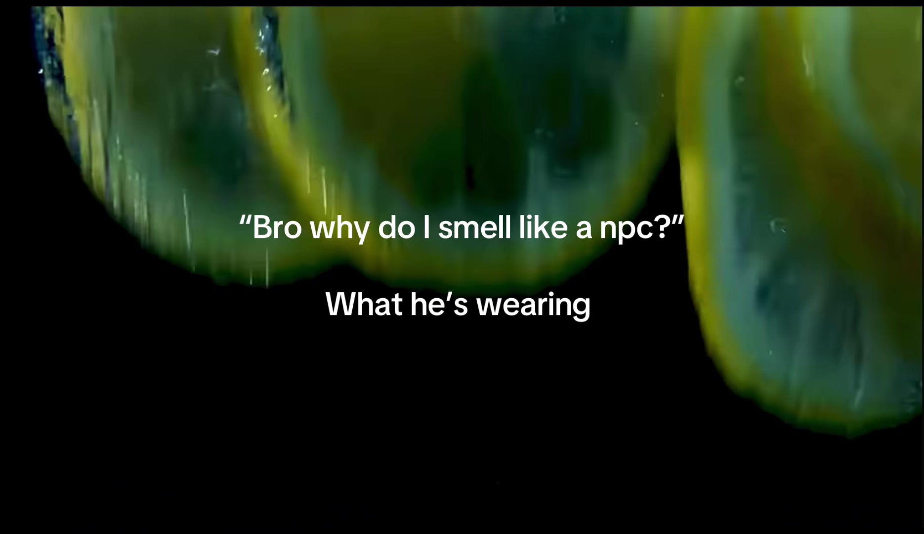 @sne7kyfrags