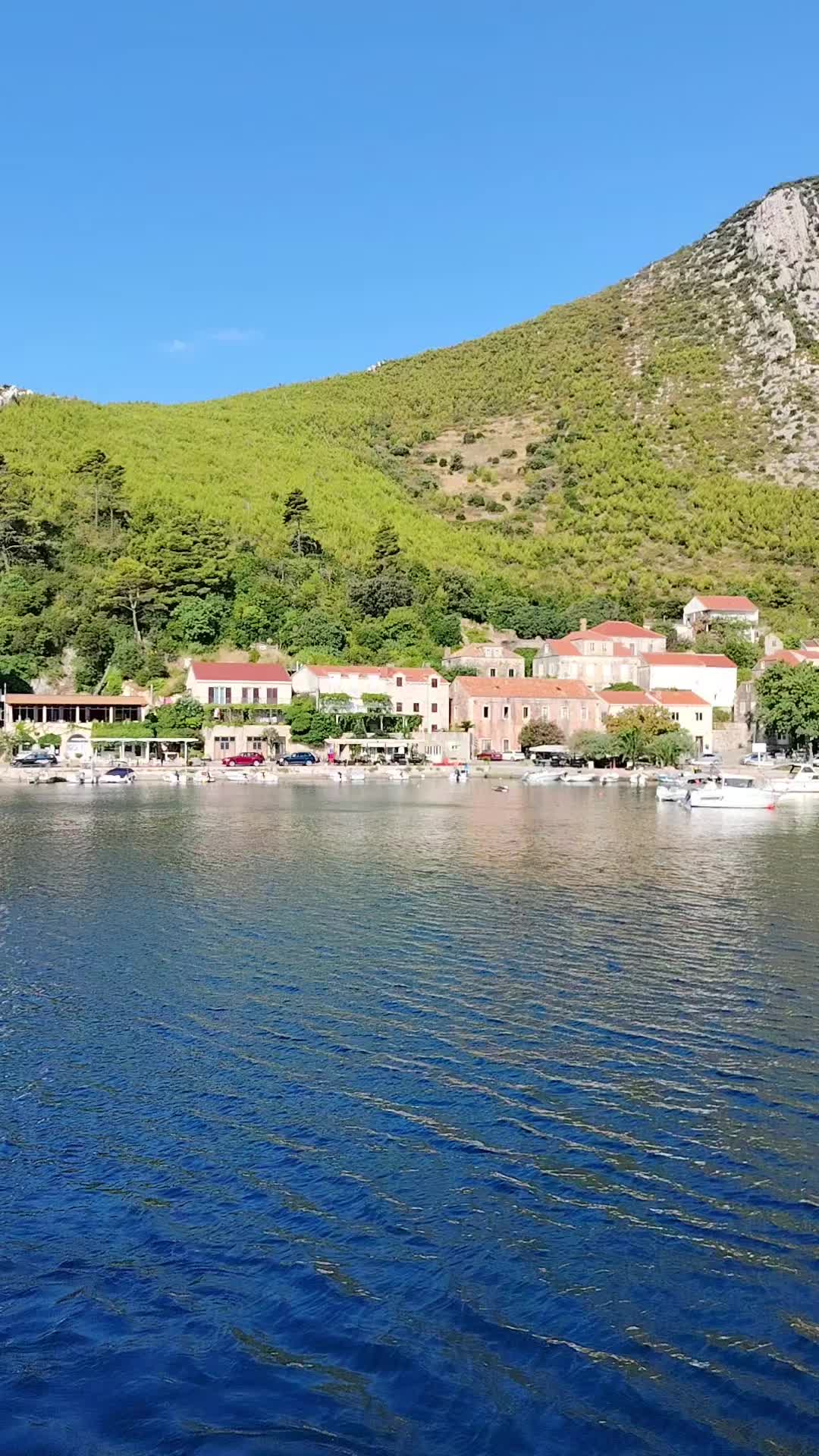 @tanjaa5rs⚓