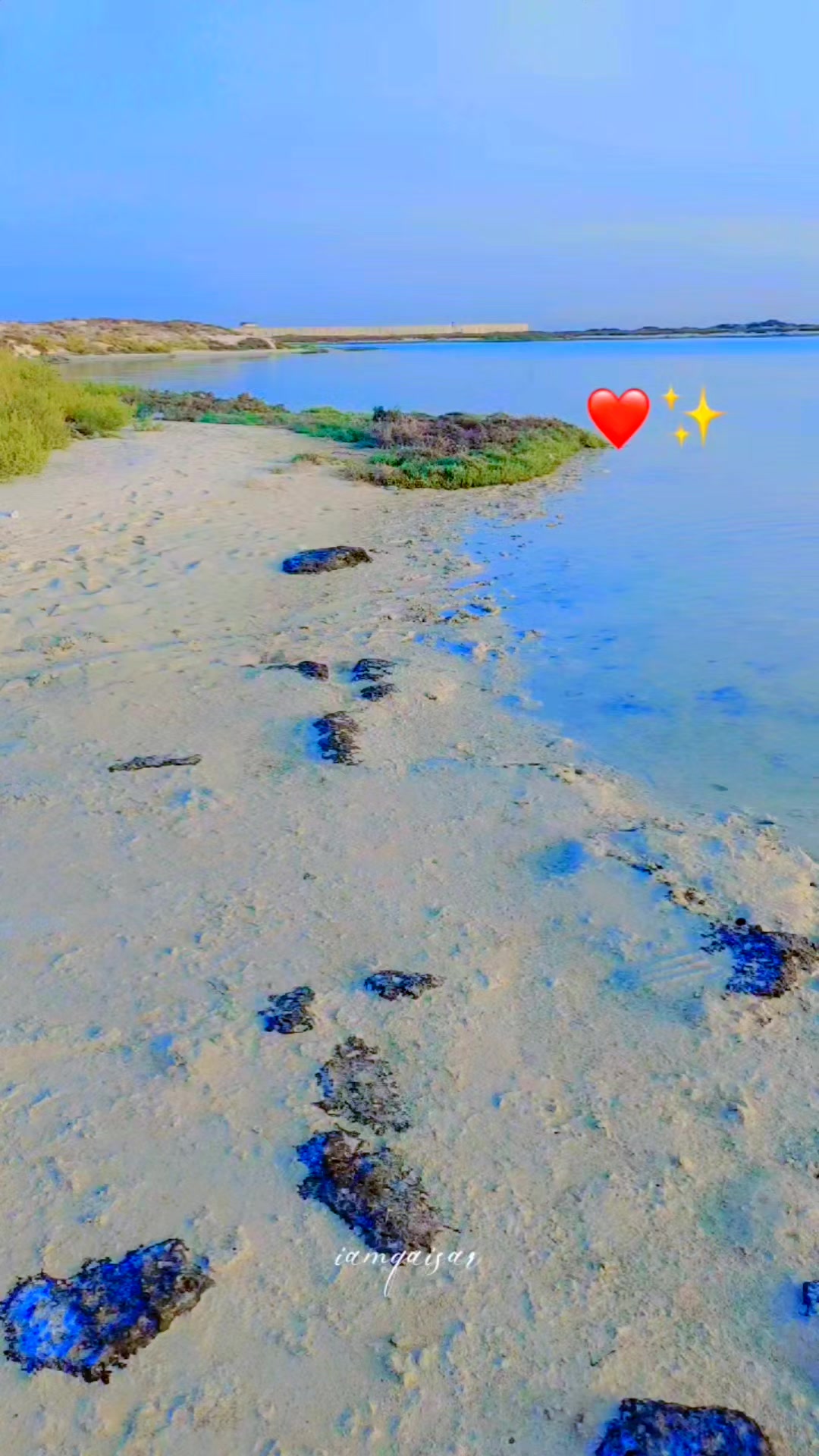 @Qaisar 🌸