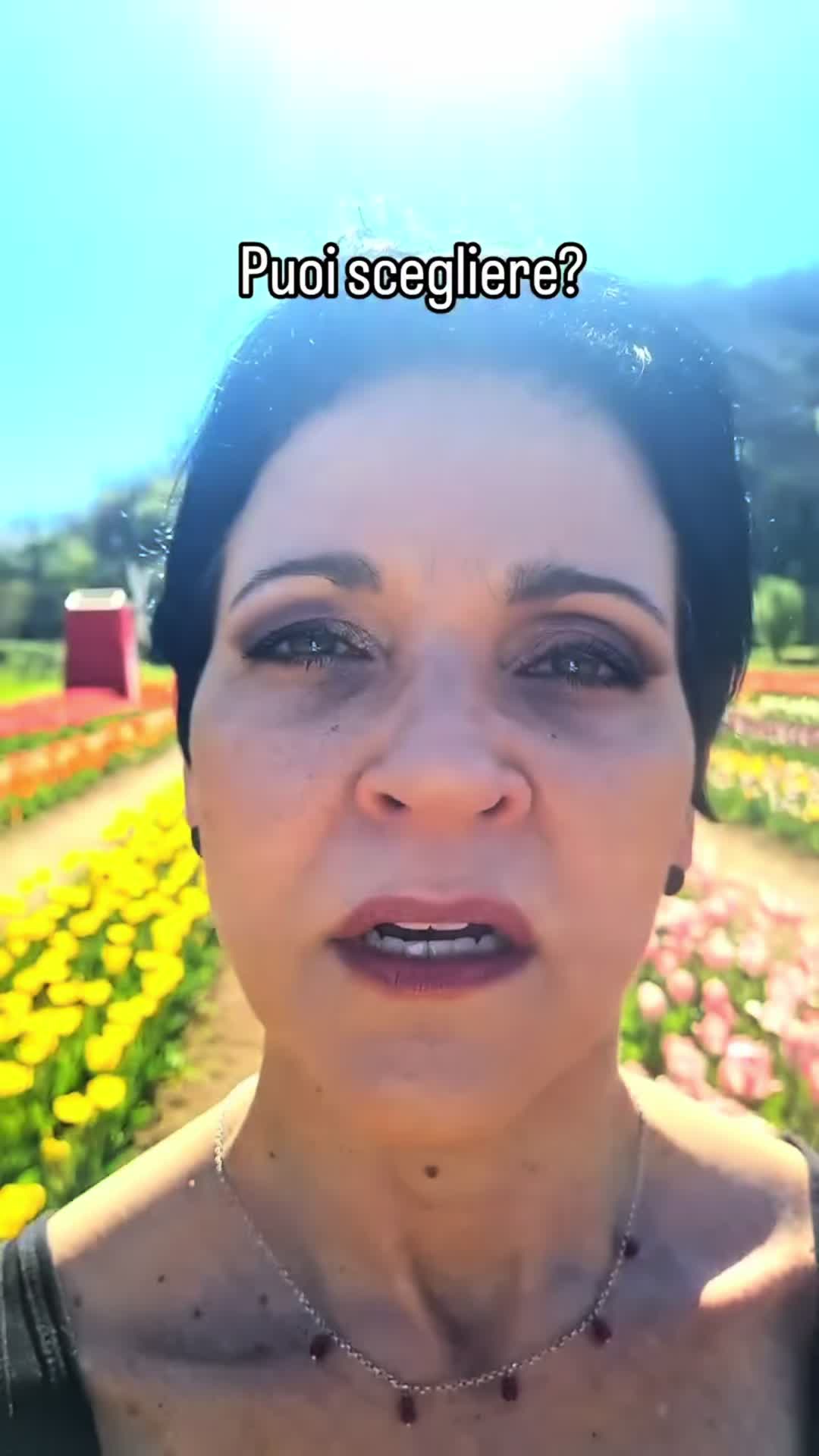 @Gianniquellodi
