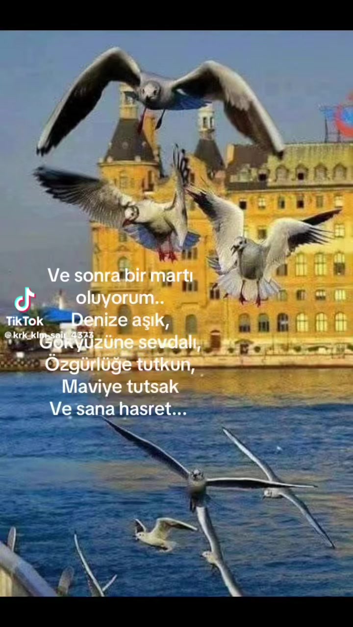 @krk_klm_sair_4343