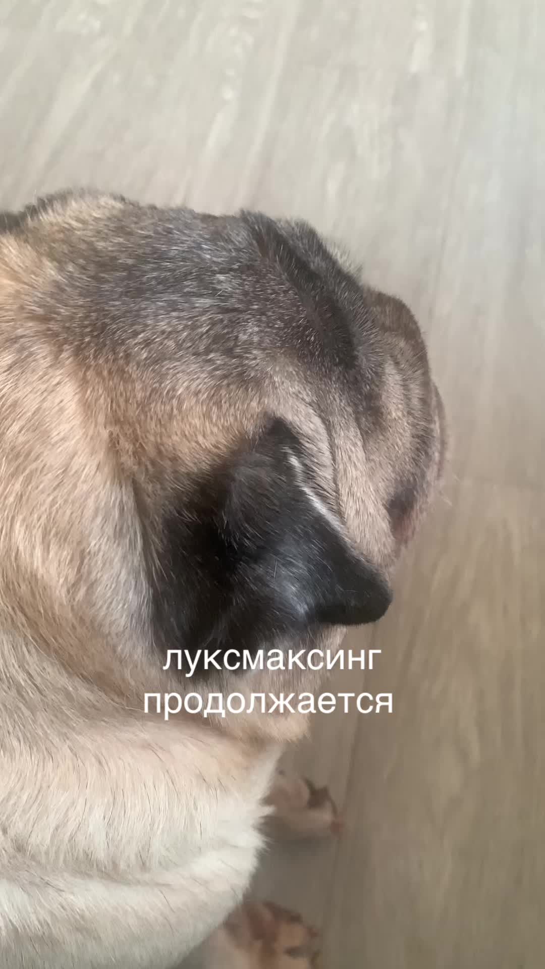 @Тру: ЖоРкА