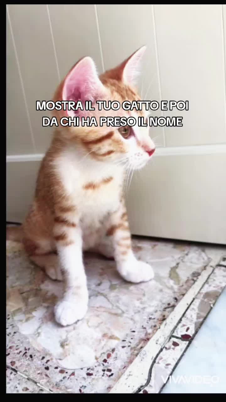 @Rosyspallino