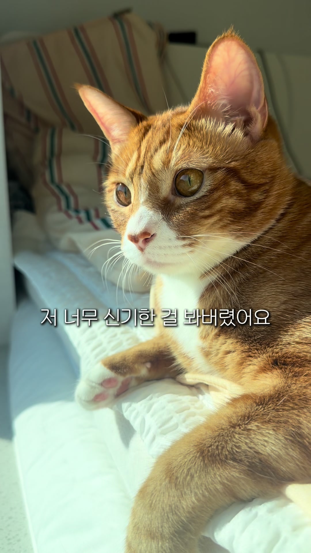 @뮤춘삼