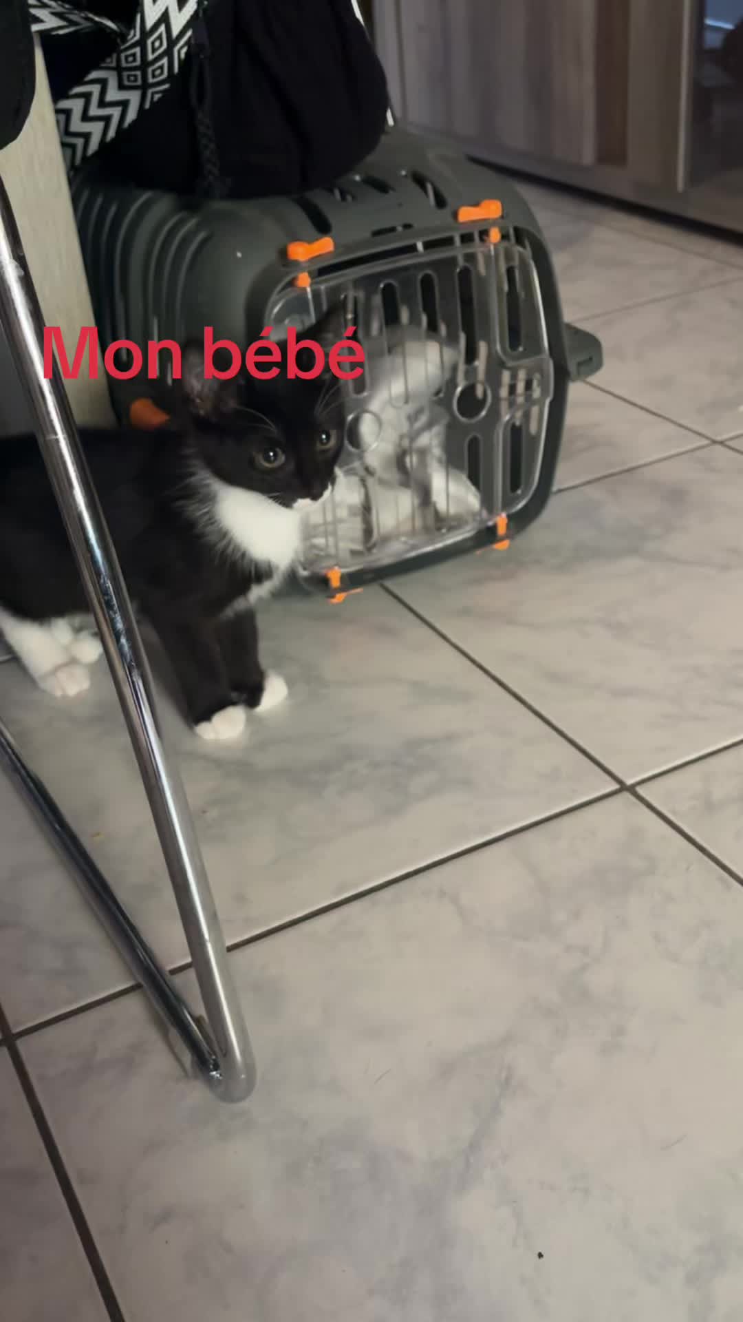 @๐ป๐๐ข๐๐๐ข๐ด๐ฅฅ
