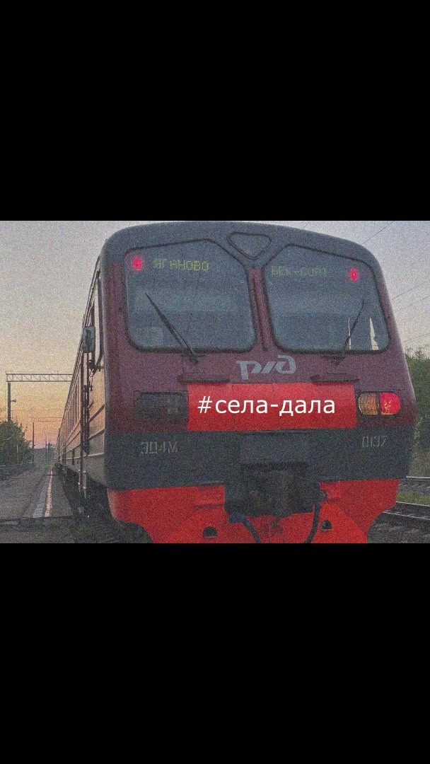 @VOROBEY2019