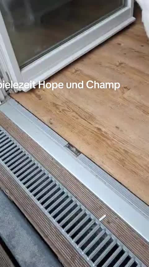 @Hopedragon🕊️🐉