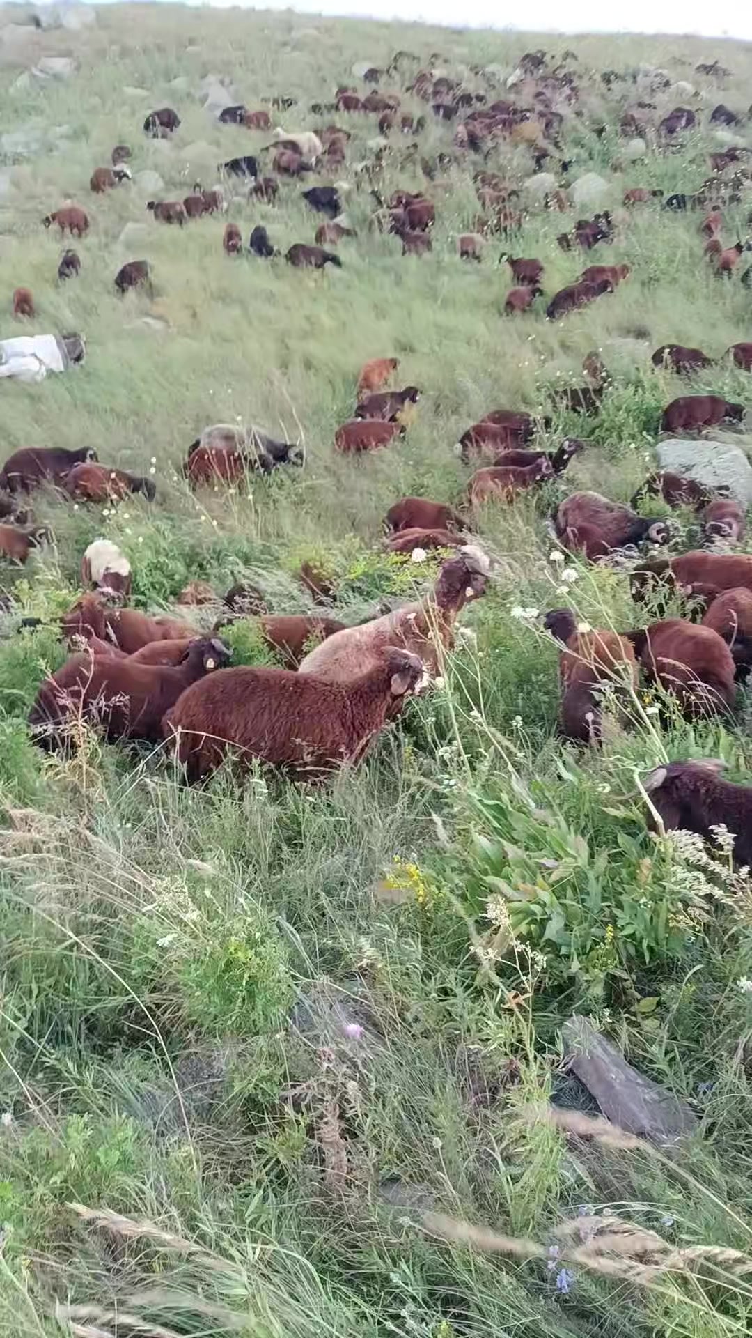 @eyyüp. beki. 🥀🥀🥀🥀