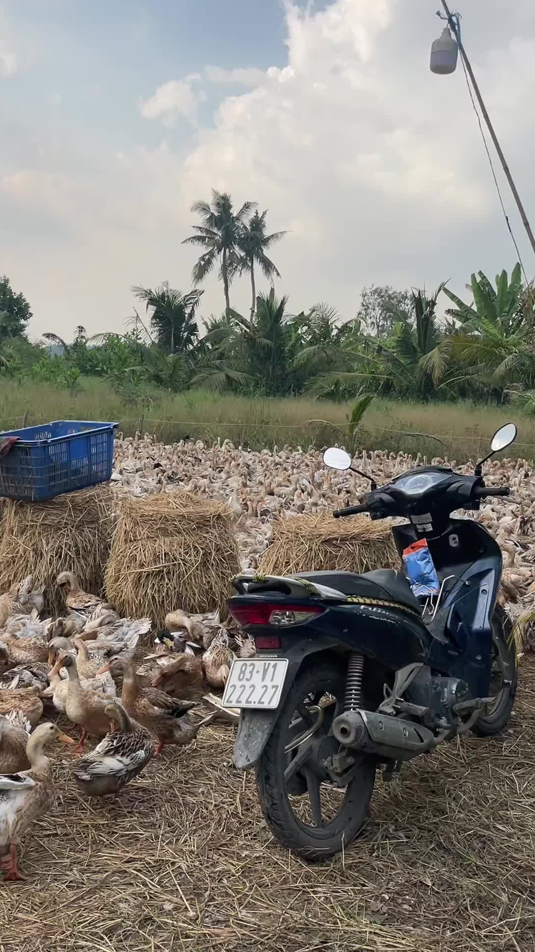 @Viễn nè Chứ ai📸🤗