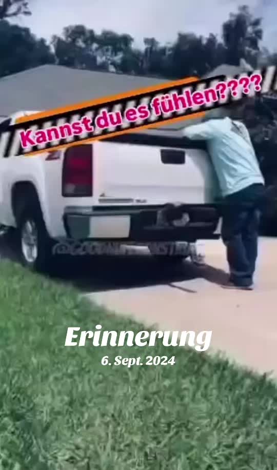 @Schuetze66