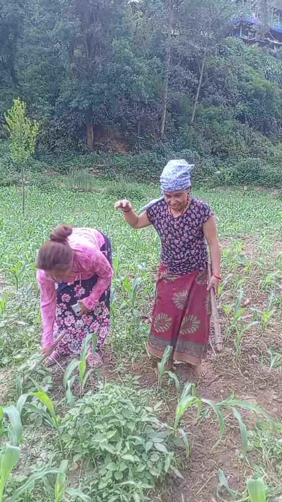 @PUN Ramjali