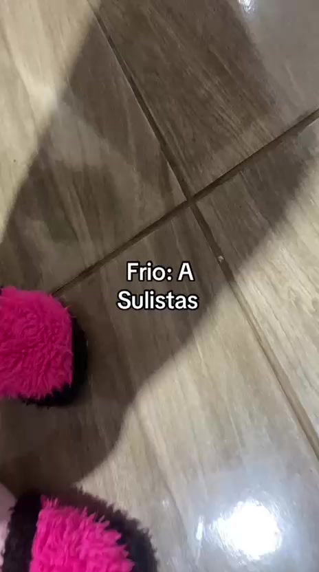 @Viviane Anselmo 🦒