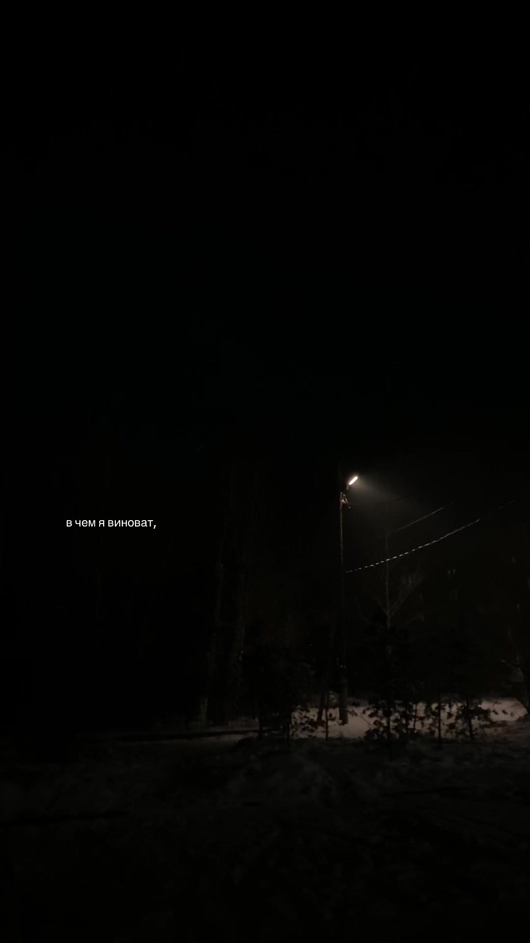 @люблю чечел