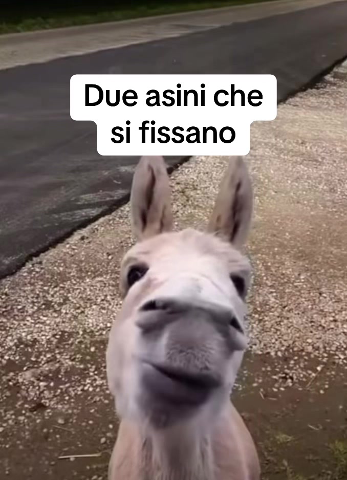 @Umberto Marasco