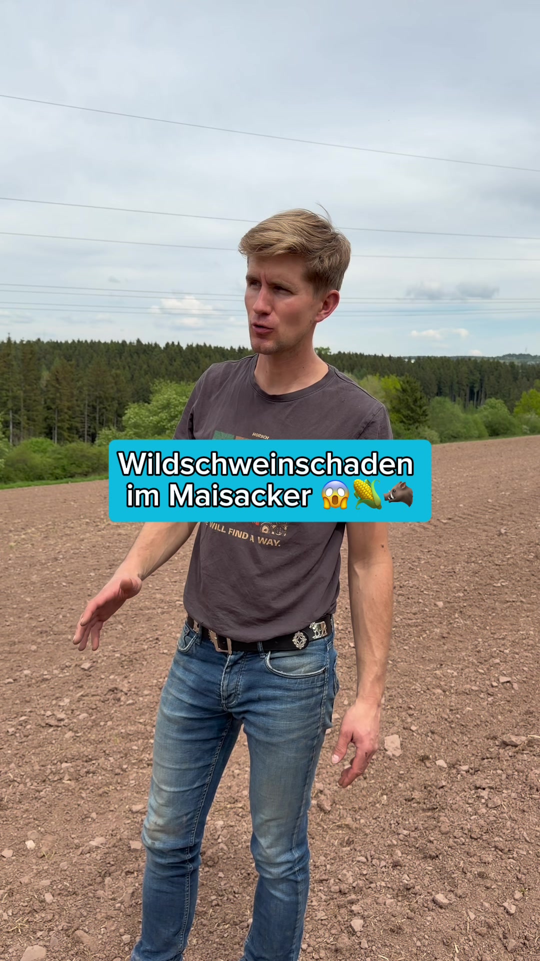 @Schwenks-Hofleben | SWR Heimat