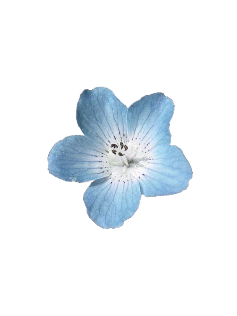 @مبروك