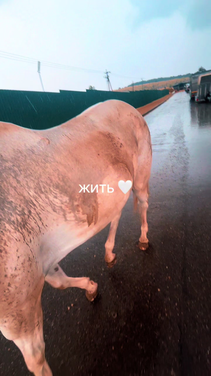 @⛓️Окаянная Яна⛓️