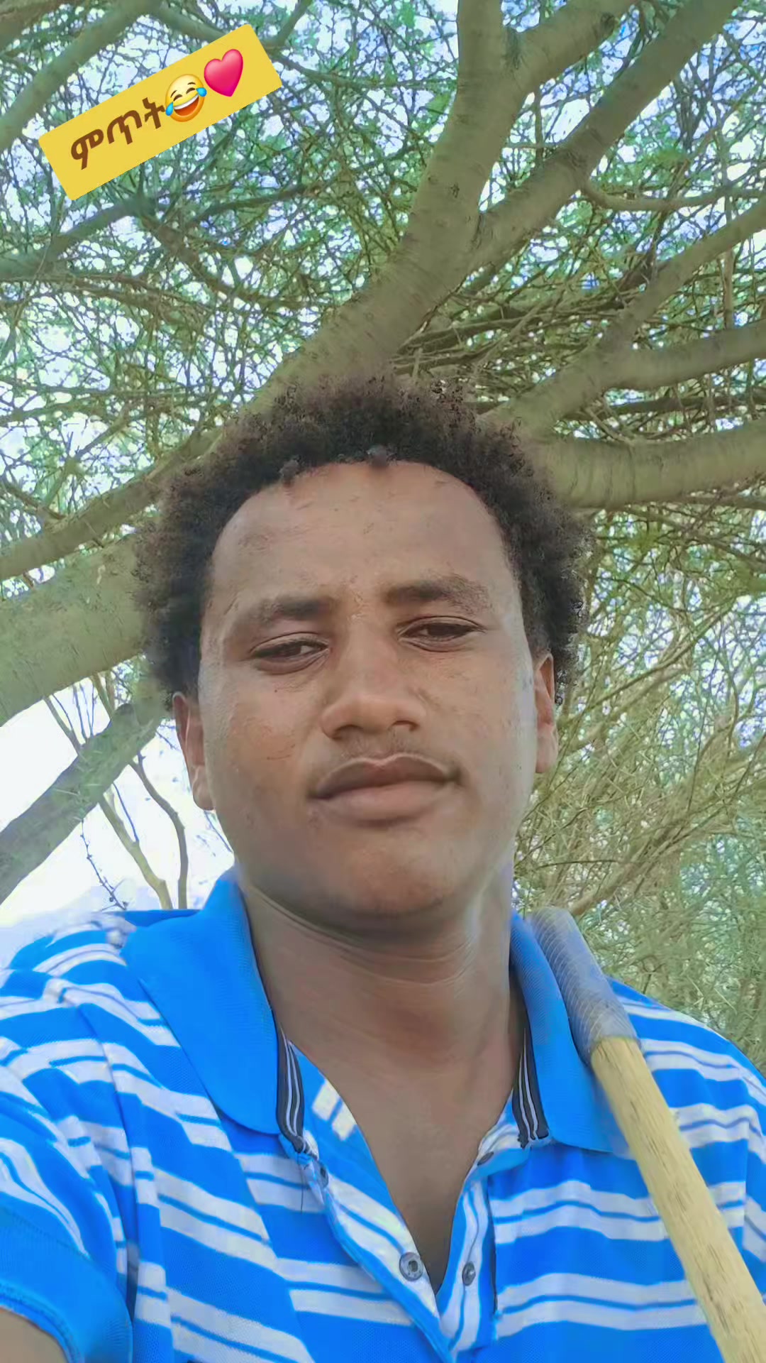 @ኣቹ        ኣቹ