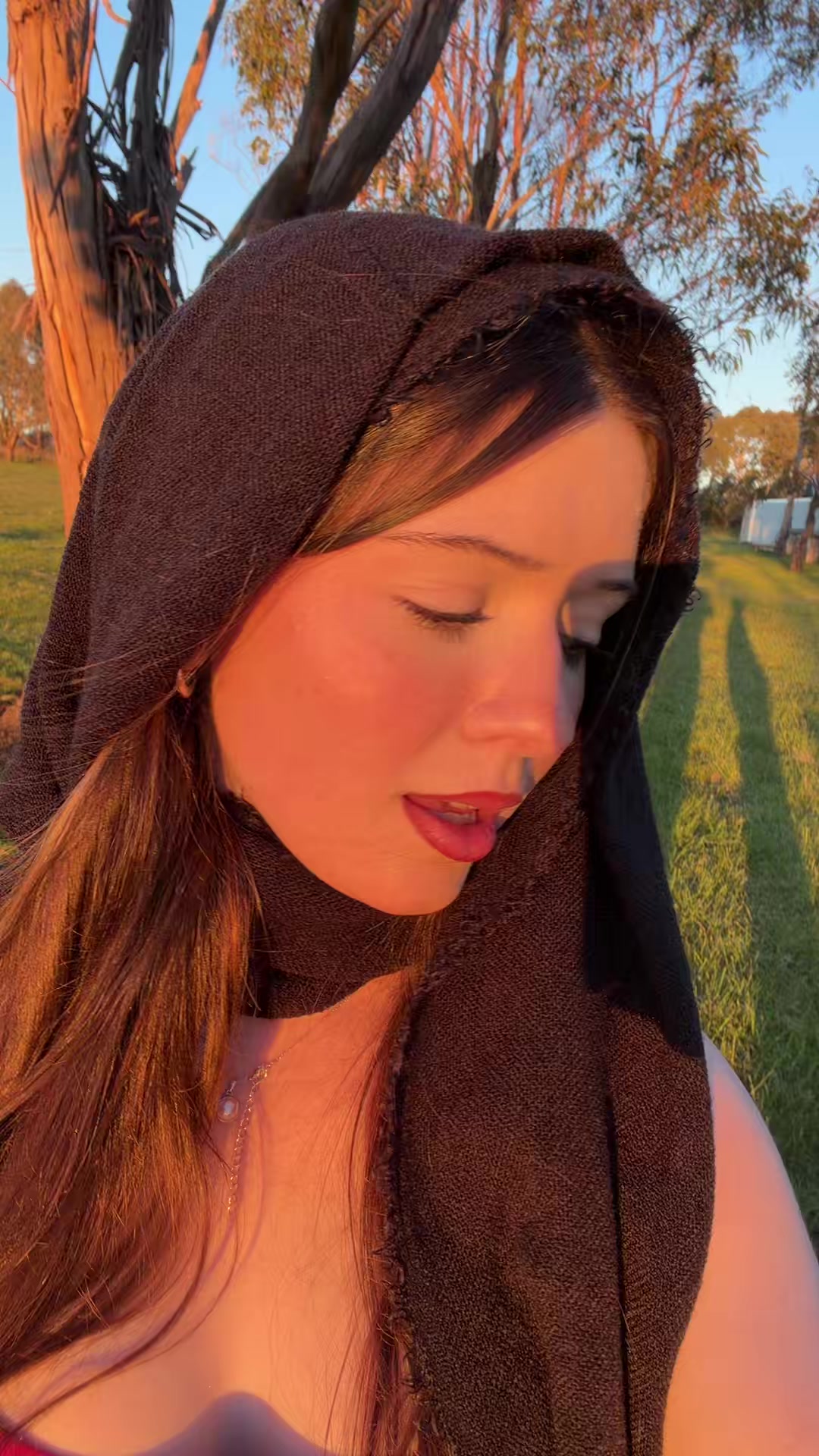 @aylani