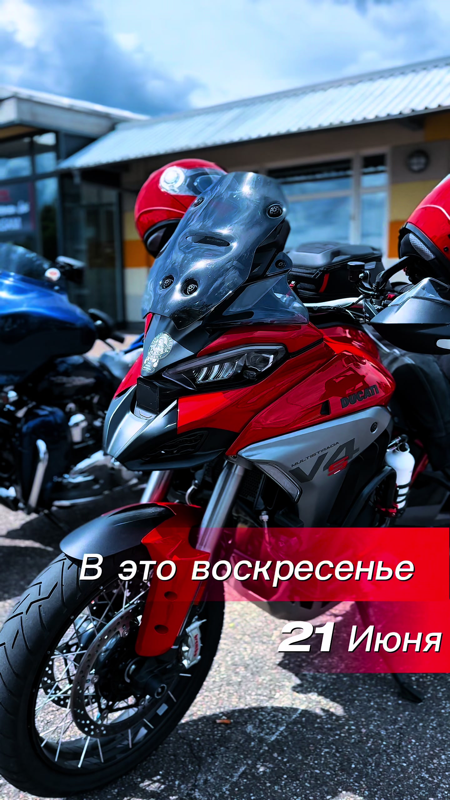 @РУССКИЕ МЕДВЕДИ