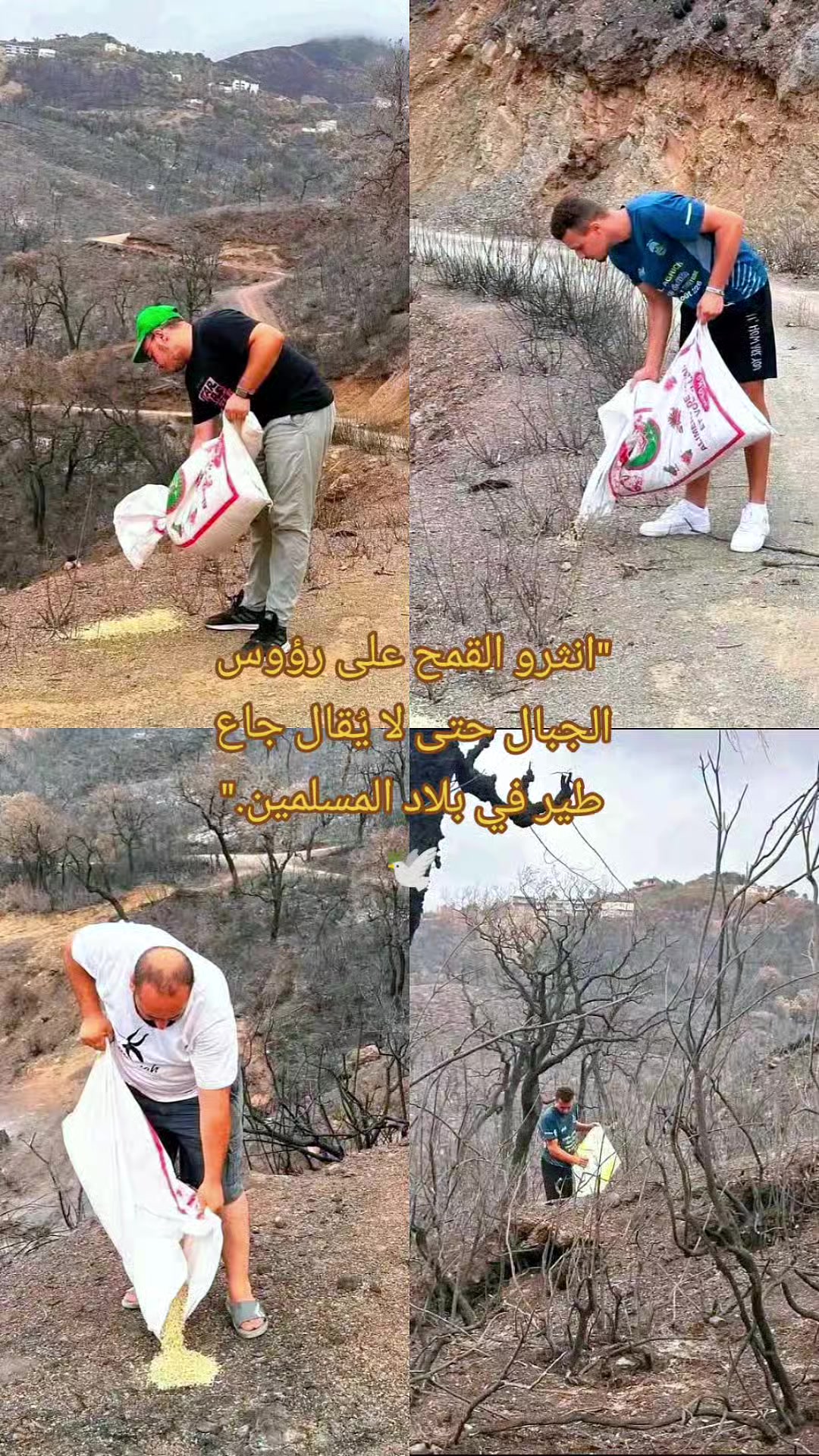 @🪄إســ𝑬𝒔𝒓𝒂𝒂ــراء🪄