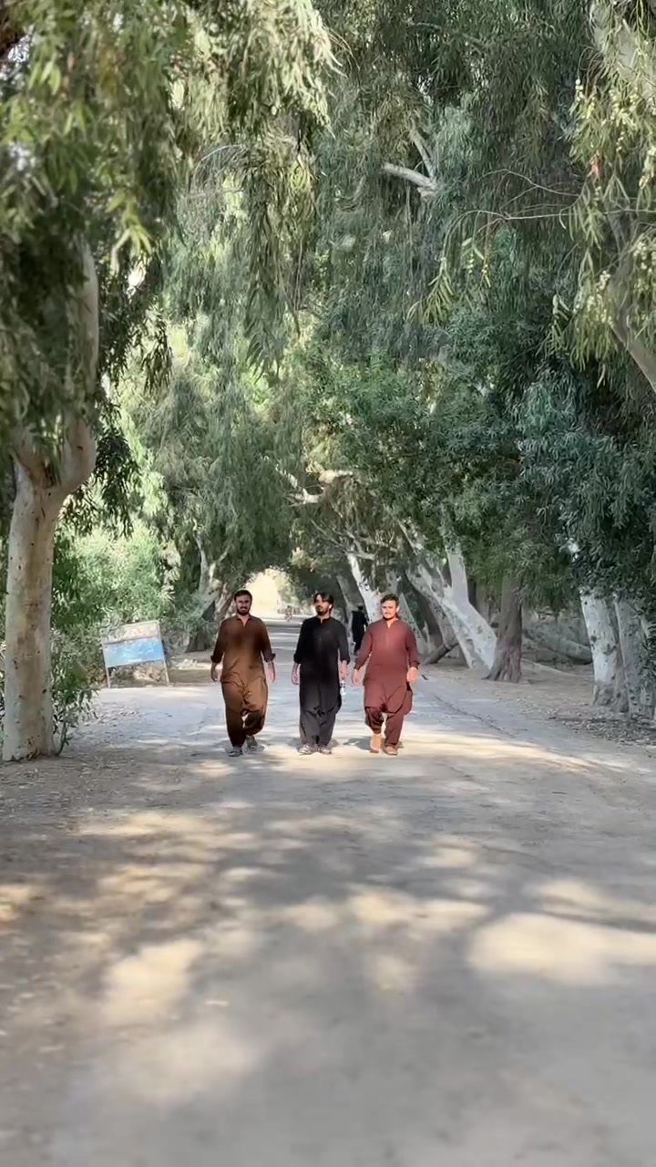 @Mir Nazar ZarDari