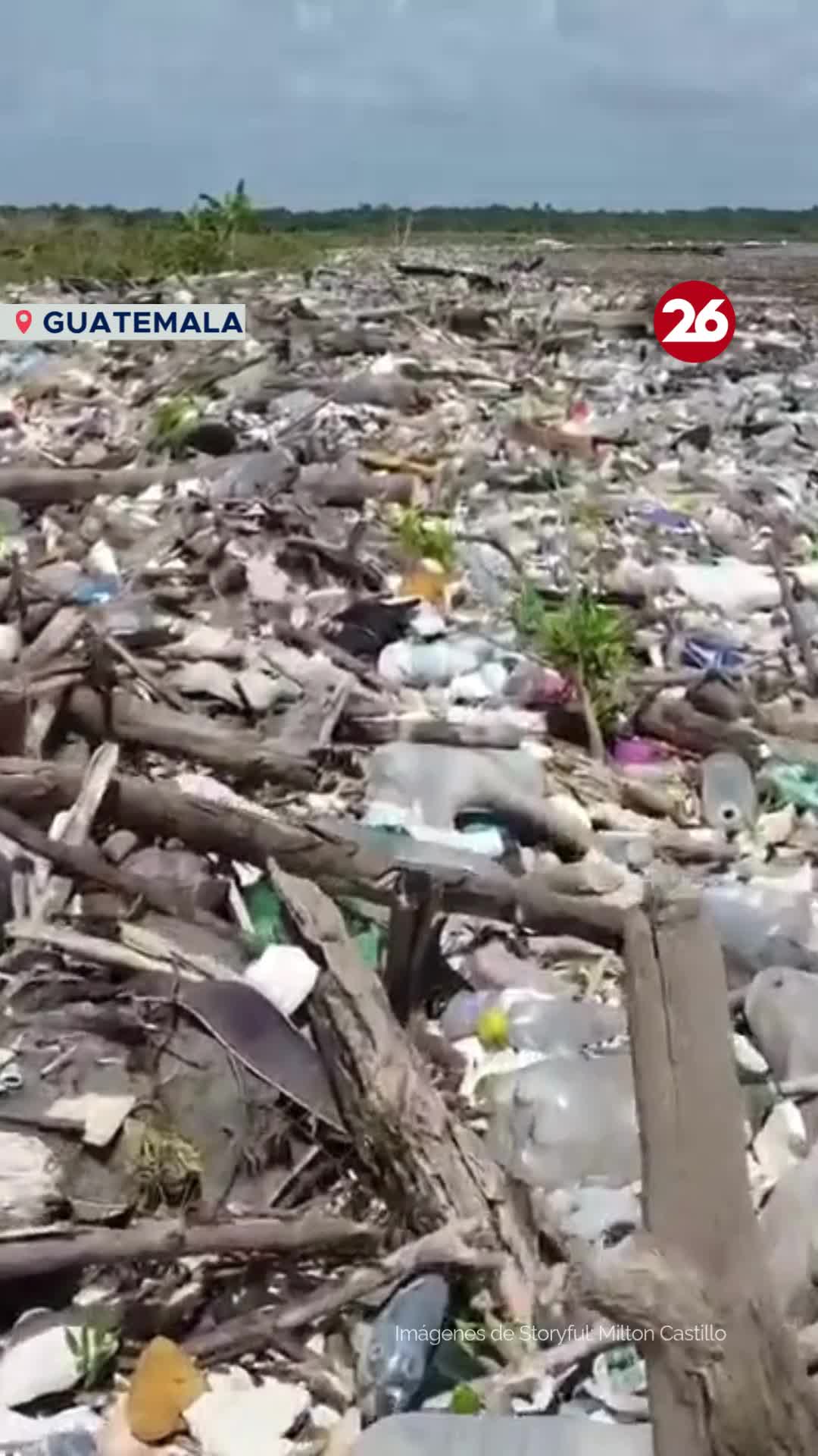 @Canal 26