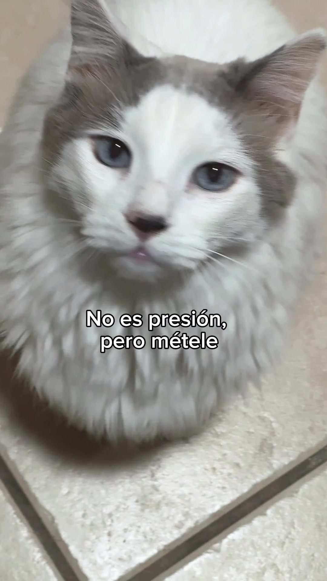 @Cecilia Torres