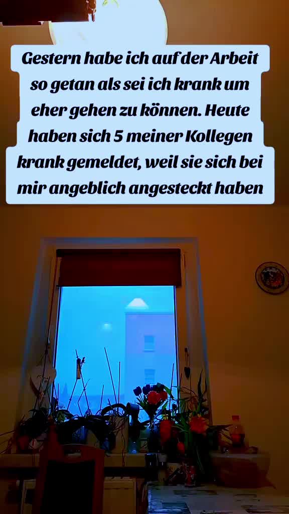 @wolfpacksteffen