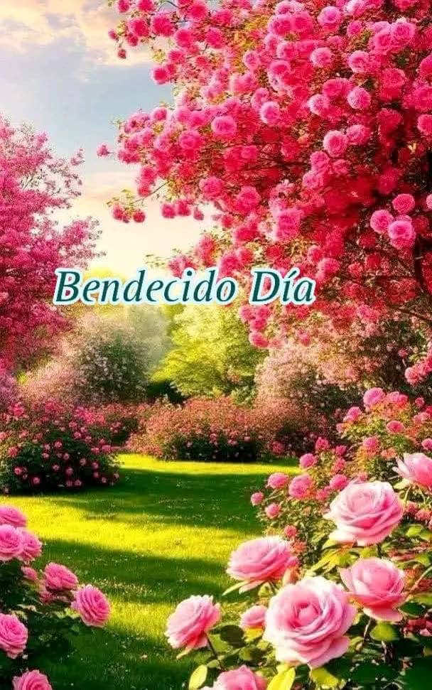 @💎🎀LA PONY 🎀💎