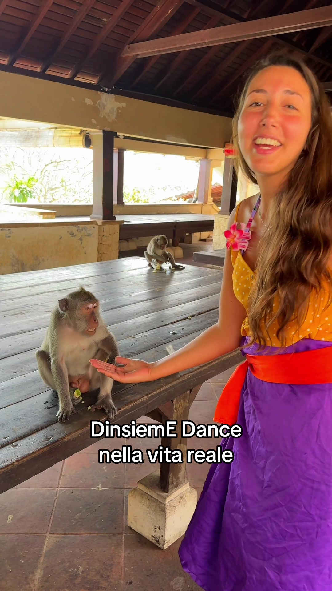 @DinsiemE