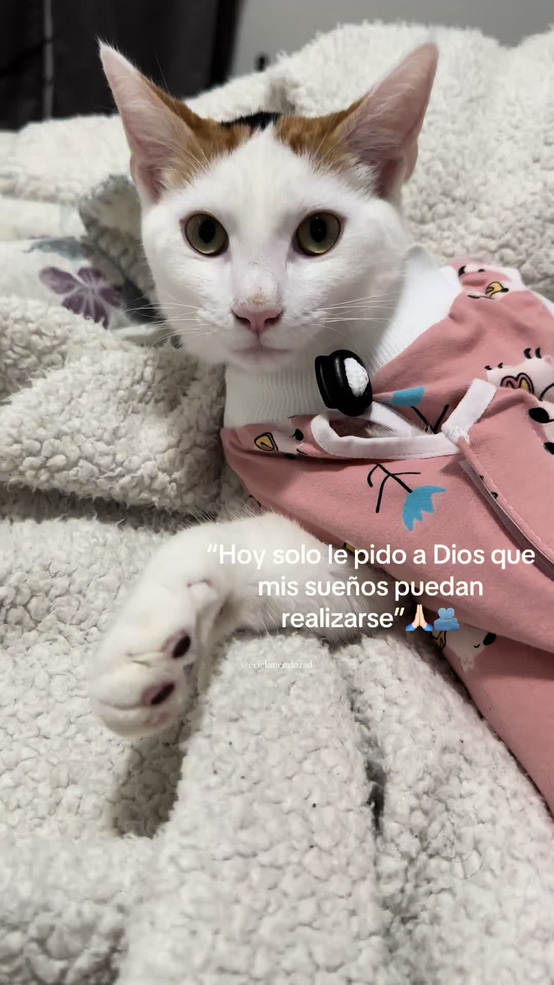@Martin Moncada