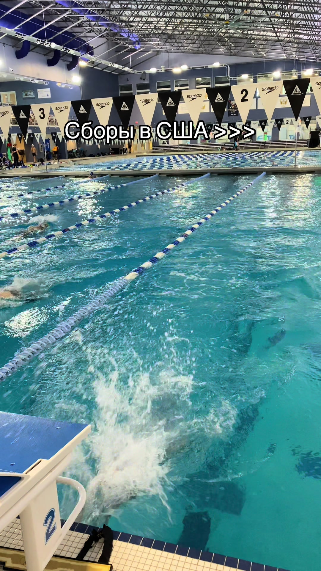 @Chlorine Chronicles🏊