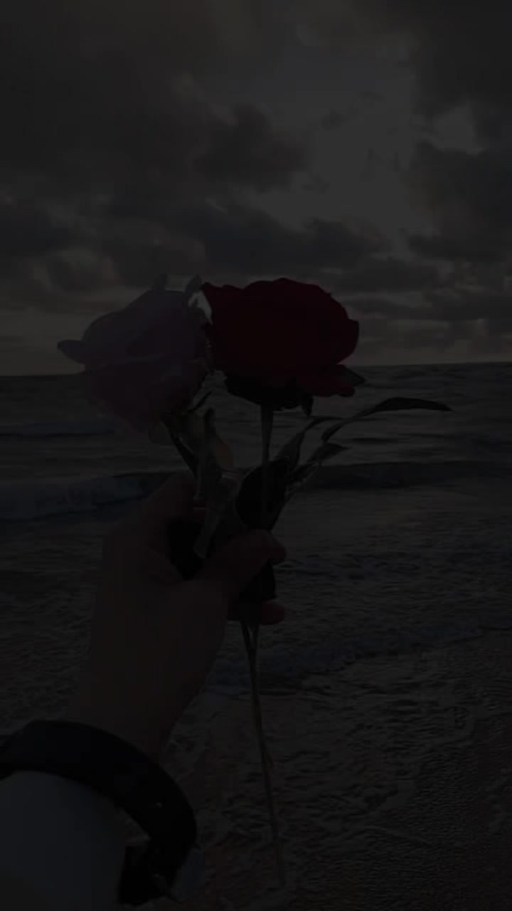 @حمصية 🦋