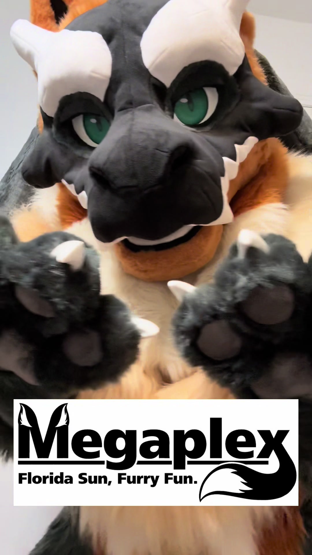 @Gyer 🔜 MEGAPLEX