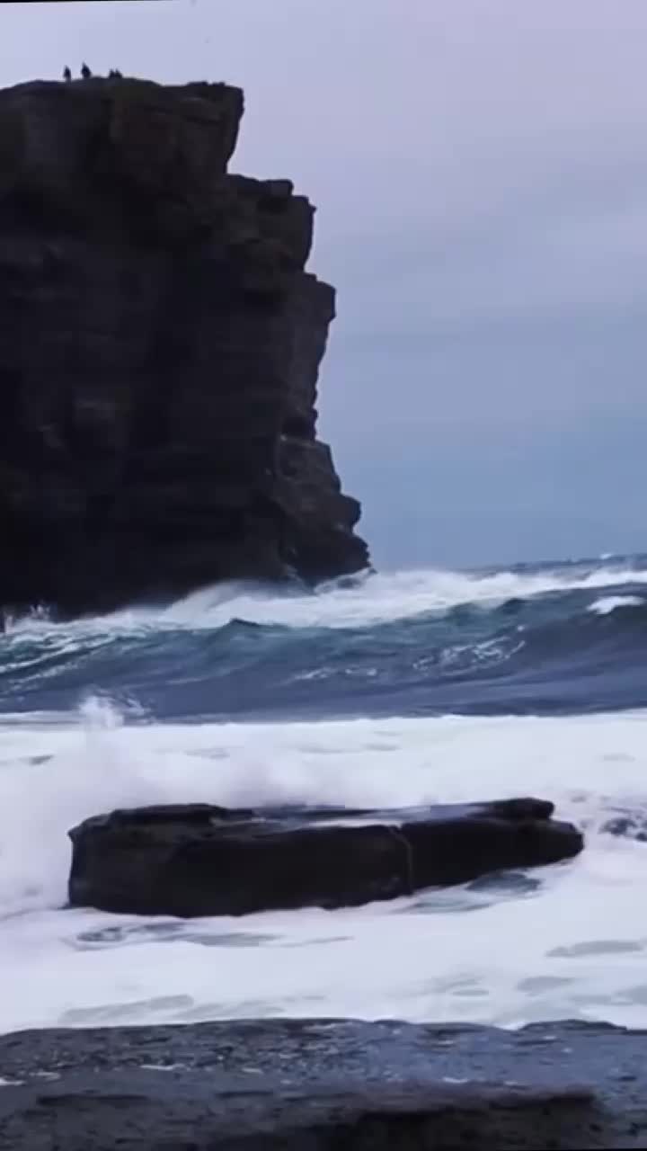 @лысый
