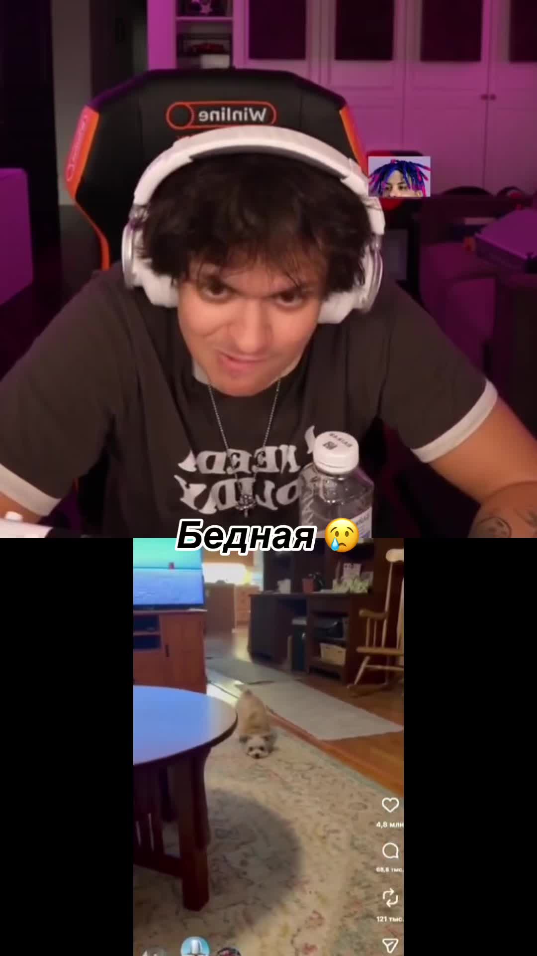 @Твич и Точка