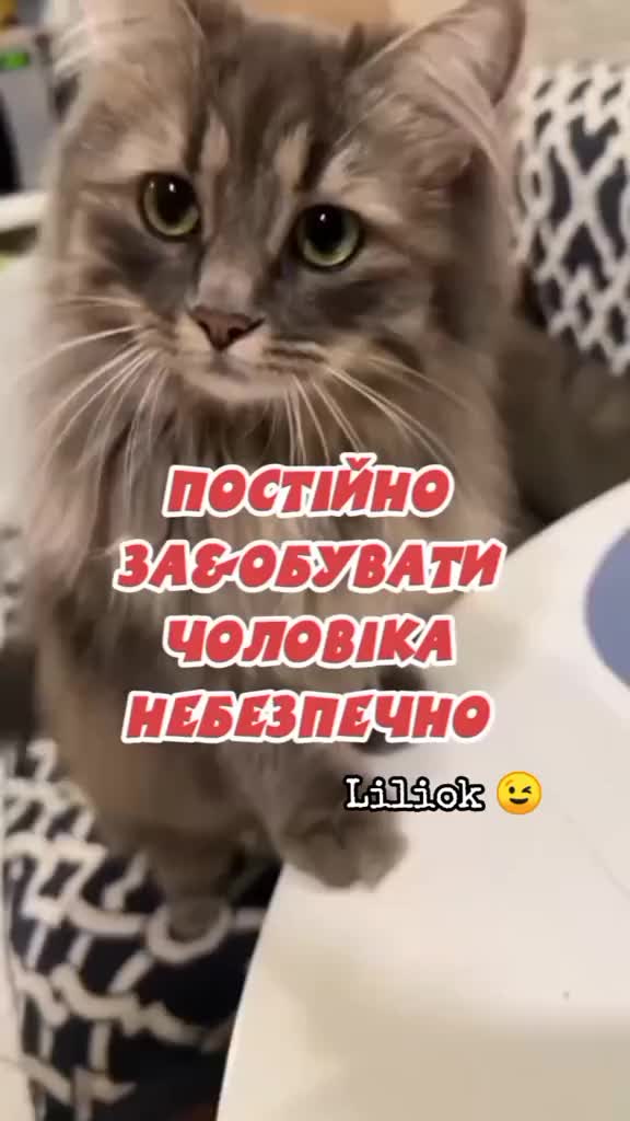 @✨Liliok✨