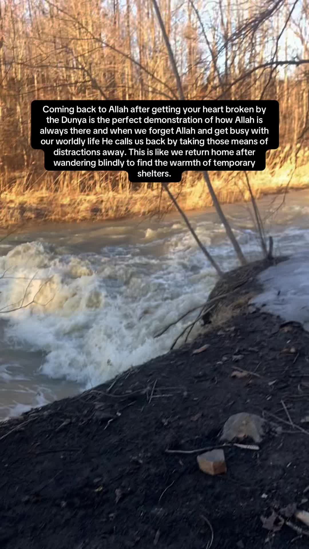@ActOfSunnah