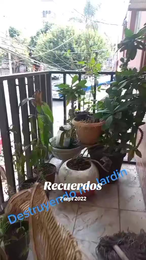 @Goretti  Rodriguez