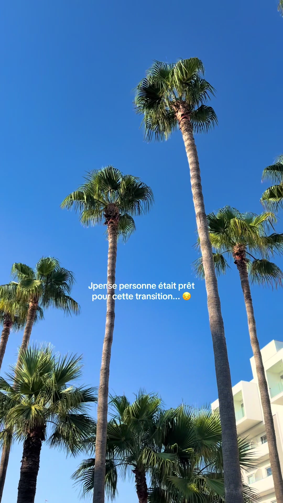 @𝐋𝐨𝐫𝐞𝐥𝐲𝐧 ✮