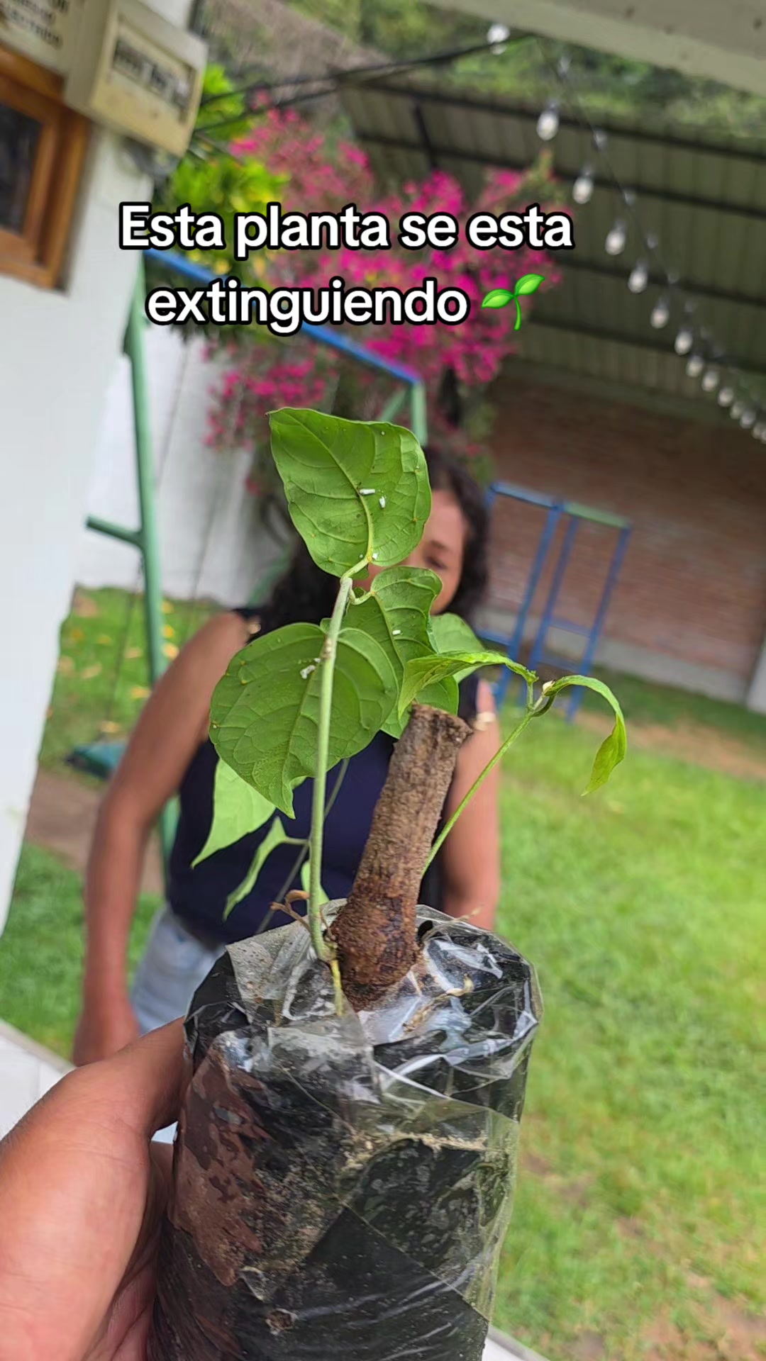 @Mayahuasca❤️