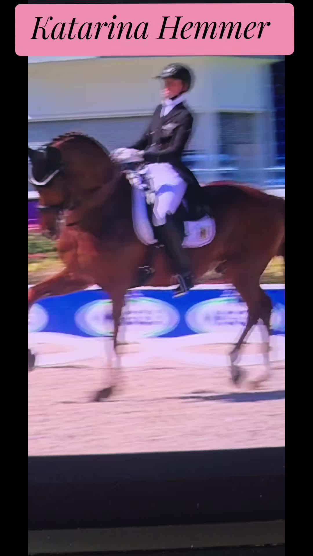 @DressageHub