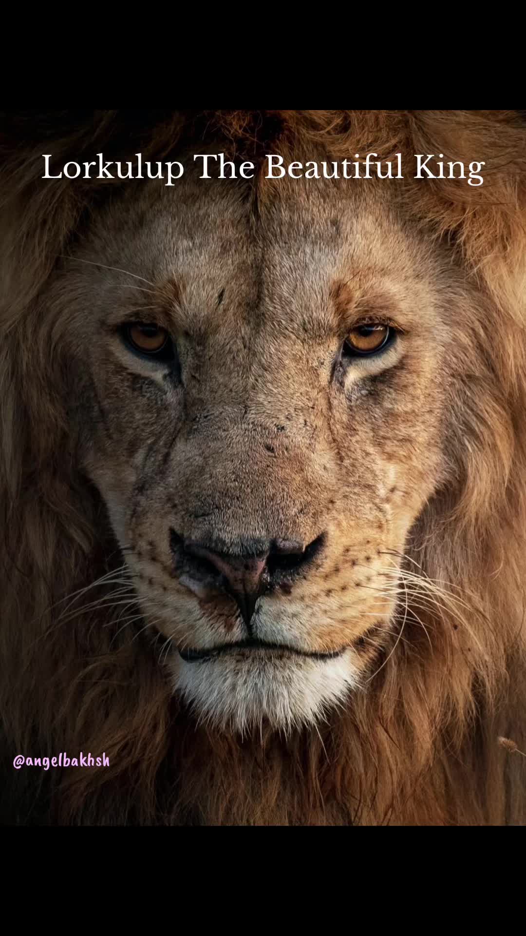 @AngelBakhsh