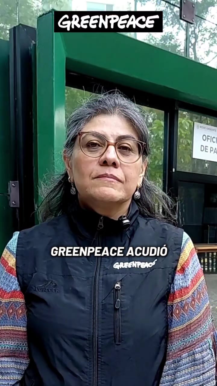 @Greenpeace M&eacute;xico