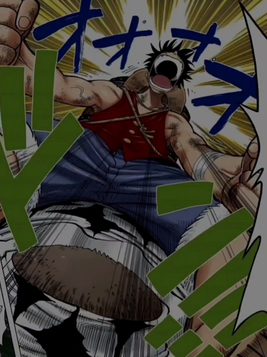 @One Piece ☠️