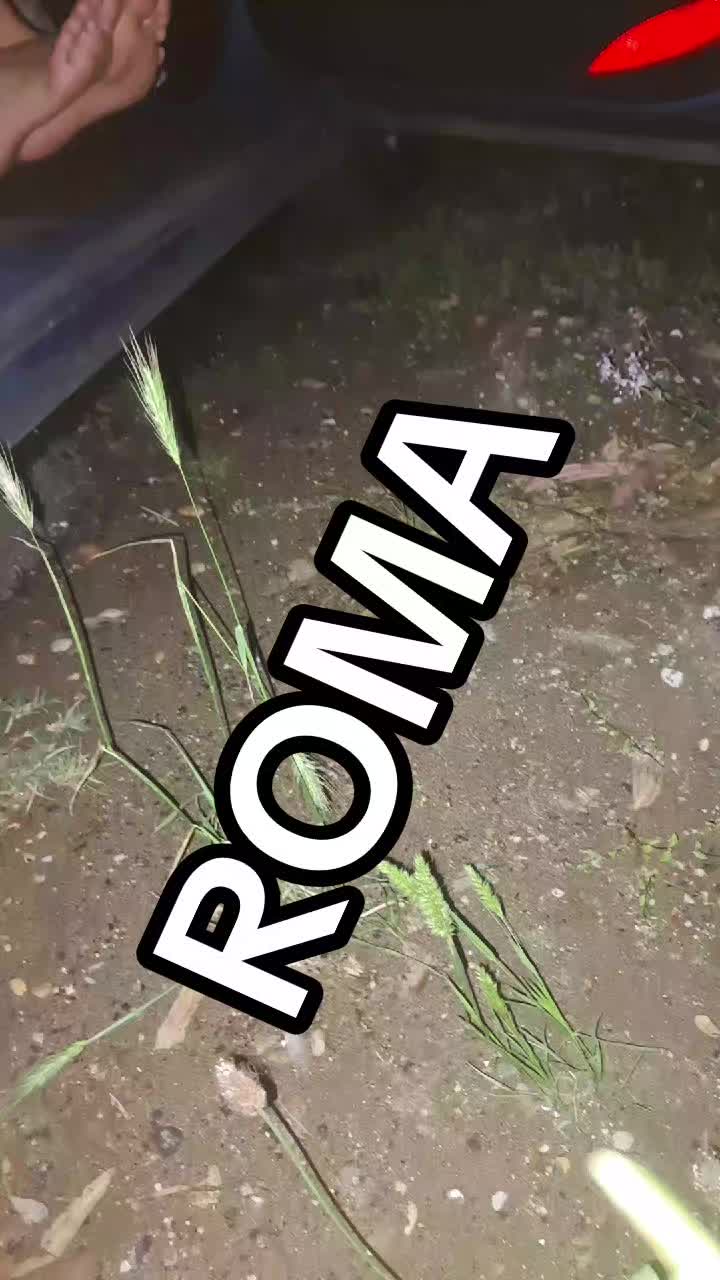 @Mario Vassecchi
